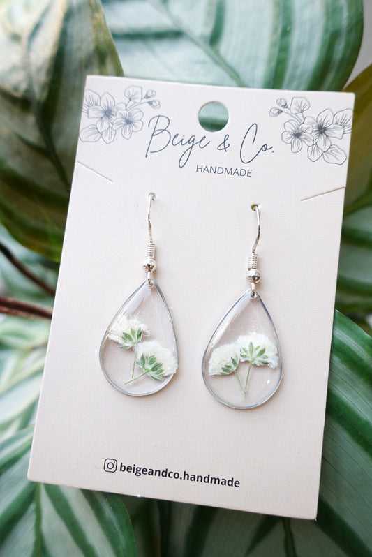 White Gypsophila