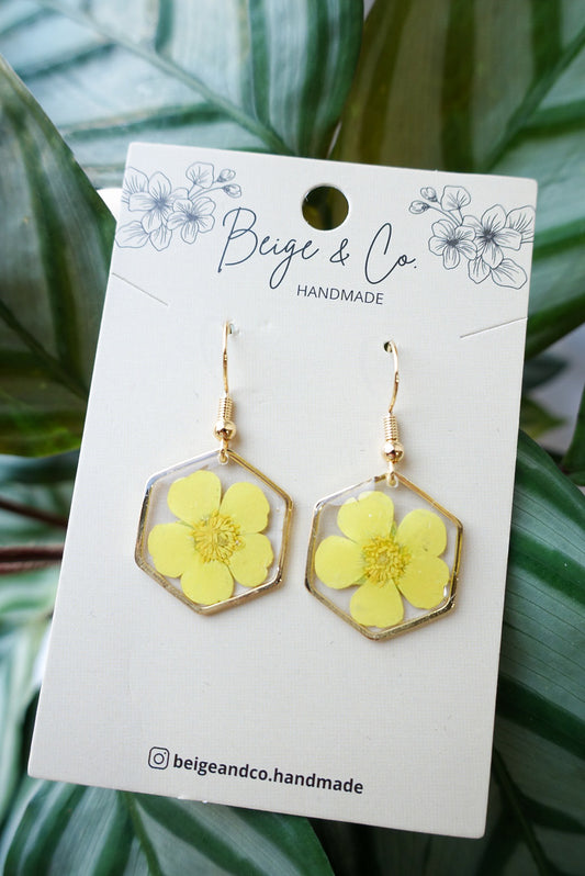 Yellow Buttercup