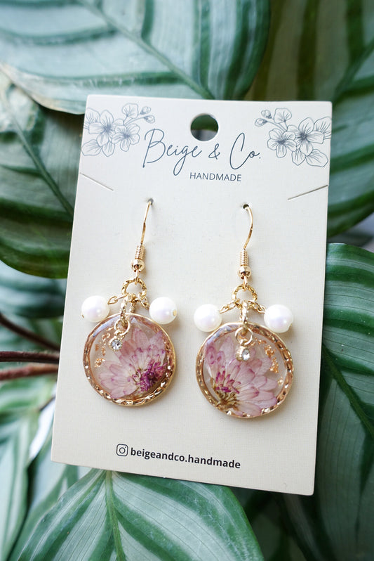 Chrysanthemum Elegance